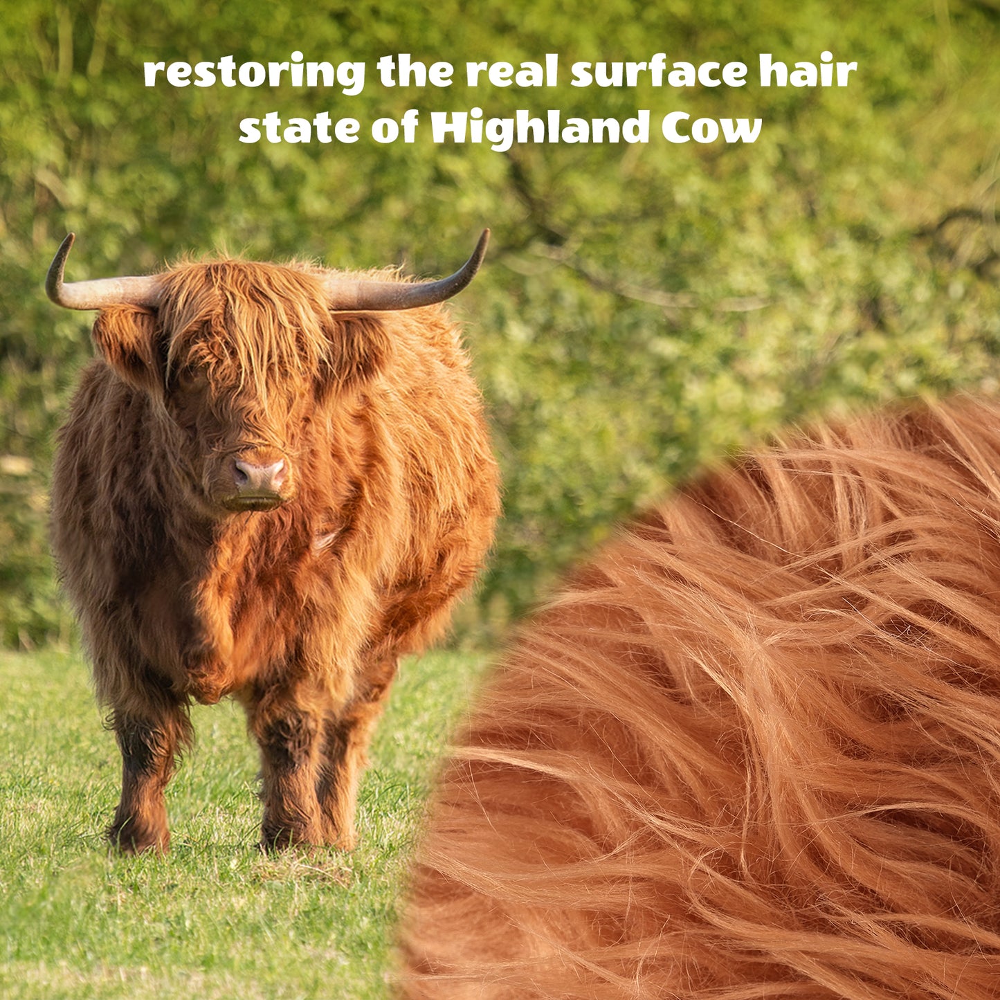 SuzziPals Heatable & Coolable Highland Cow Stuffed Animal, Microwavable Stuffed Animals Heating Pad for Period DIscomfort, Cuddly Cattle Stuffed Animal for Warmth & Comfort, Highland Cow Gifts for kid